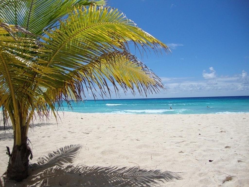 Beach Guest House Cleverdale Bridgetown Quarto foto